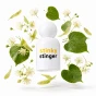 Stinky Stinger.webp